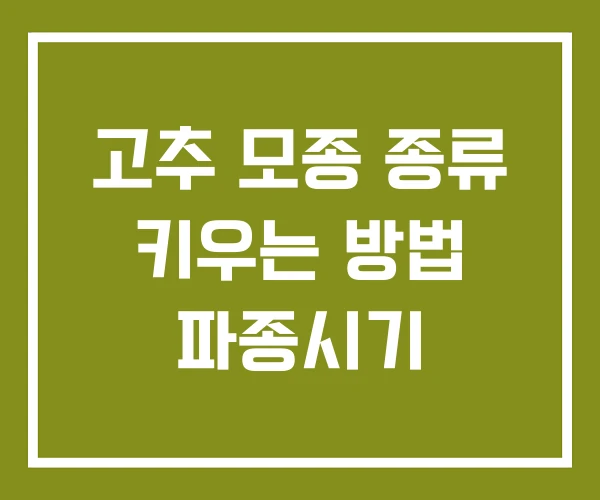 고추 모종 종류 키우는 방법 파종시기