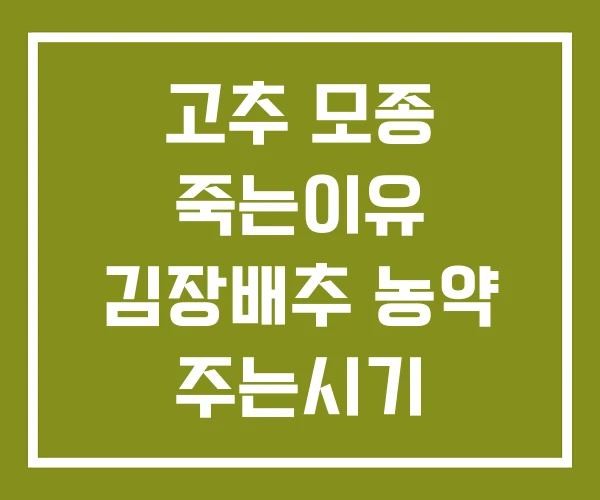 고추 모종 죽는이유 김장배추 농약 주는시기