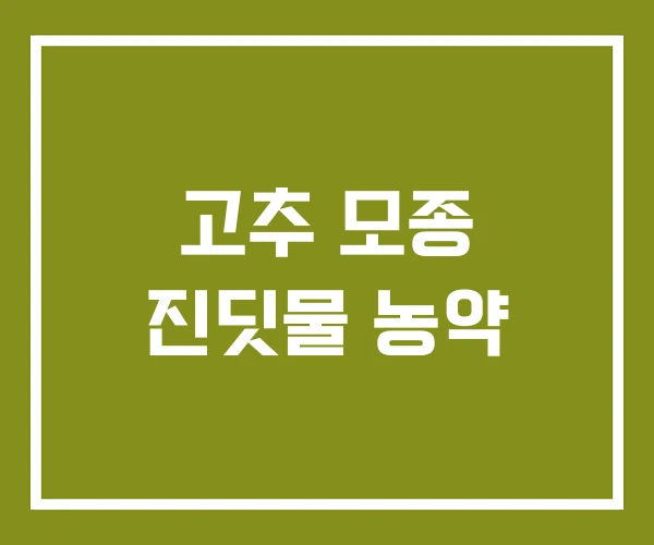 고추 모종 진딧물 농약 고추 모종 진딧물 농약