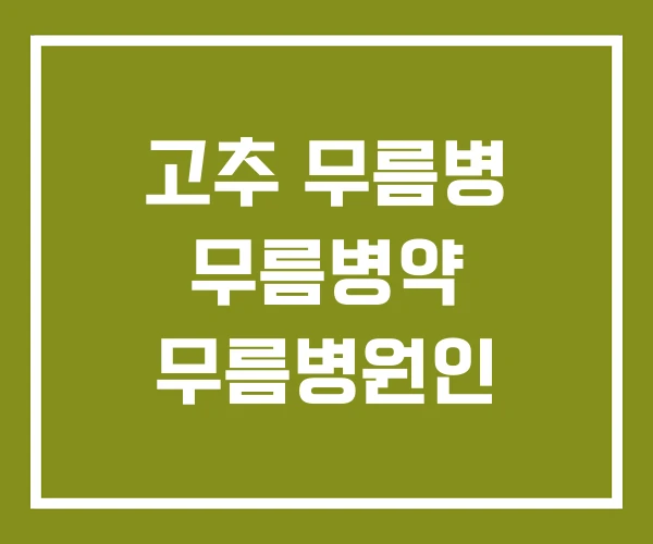 고추 무름병 무름병약 무름병원인