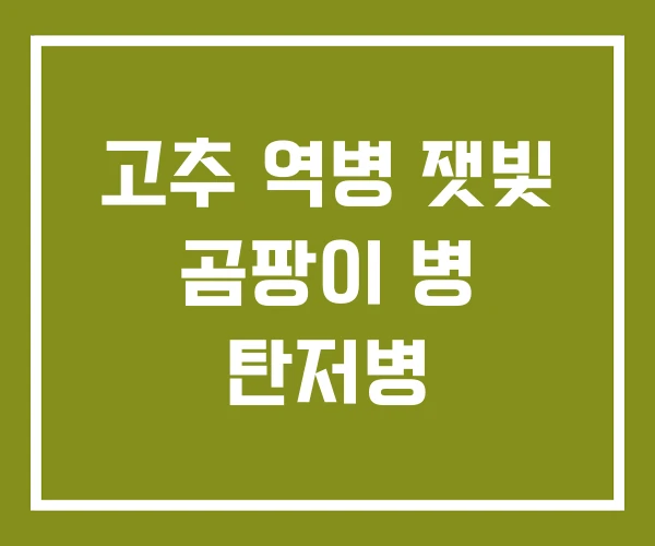고추 역병 잿빛 곰팡이 병 탄저병
