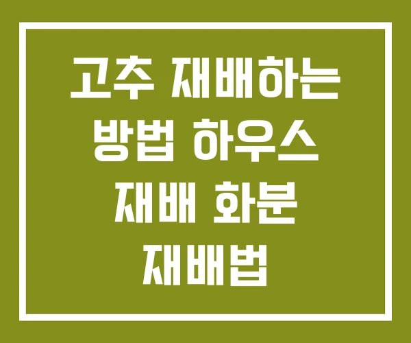 고추 재배하는 방법 하우스 재배 화분 재배법 고추 재배하는 방법 하우스 재배 화분 재배법