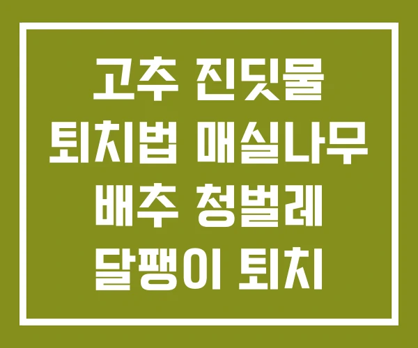 고추 진딧물 퇴치법 매실나무 배추 청벌레 달팽이 퇴치