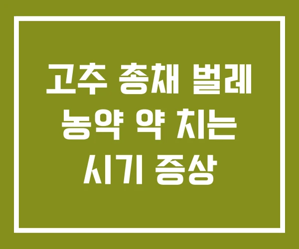 고추 총채 벌레 농약 약 치는 시기 증상