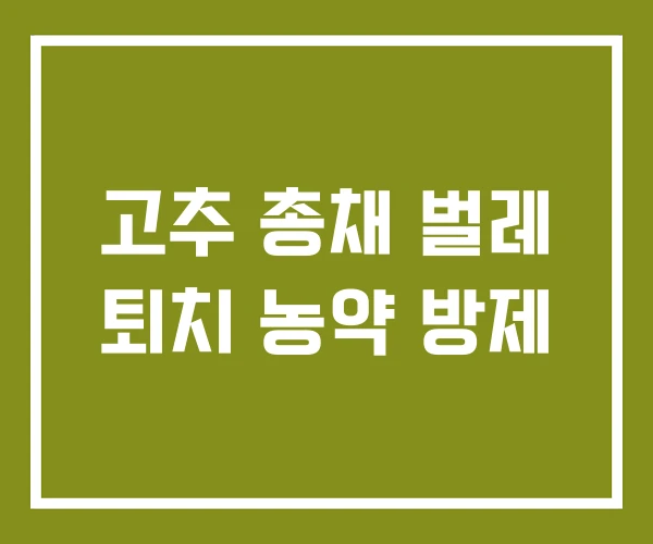 고추 총채 벌레 퇴치 농약 방제