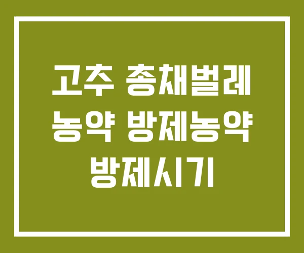 고추 총채벌레 농약 방제농약 방제시기
