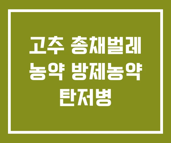 고추 총채벌레 농약 방제농약 탄저병