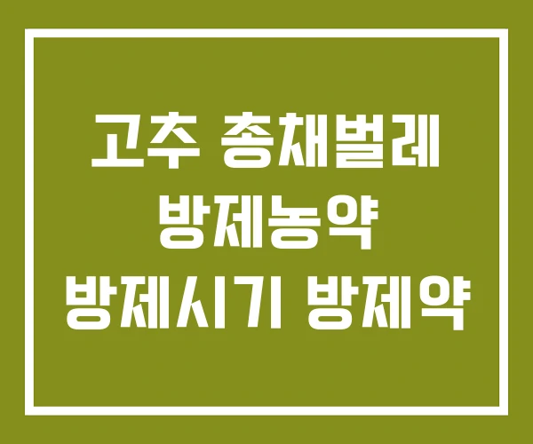 고추 총채벌레 방제농약 방제시기 방제약
