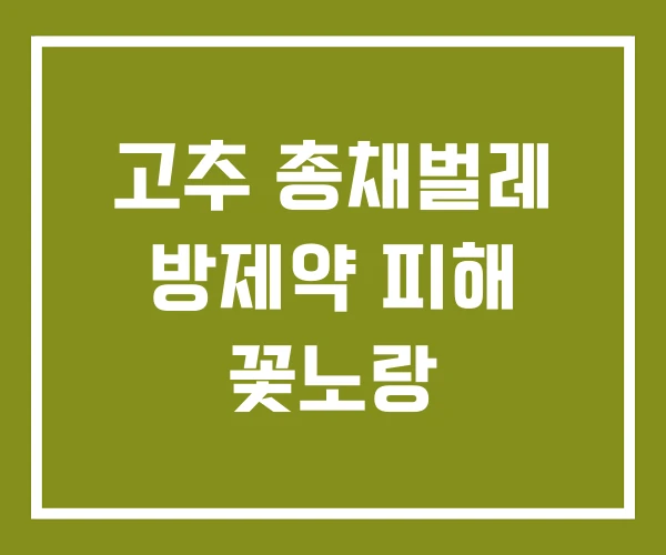 고추 총채벌레 방제약 피해 꽃노랑 고추 총채벌레 방제약 피해 꽃노랑