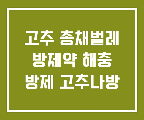 고추 총채벌레 방제약 해충 방제 고추나방