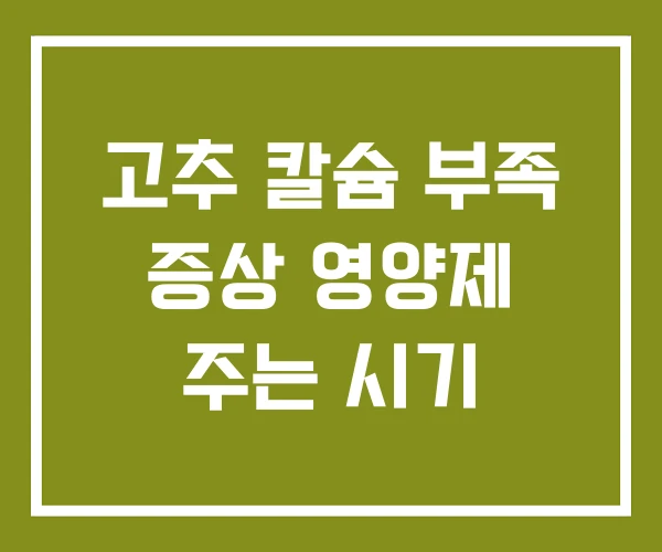 고추 칼슘 부족 증상 영양제 주는 시기