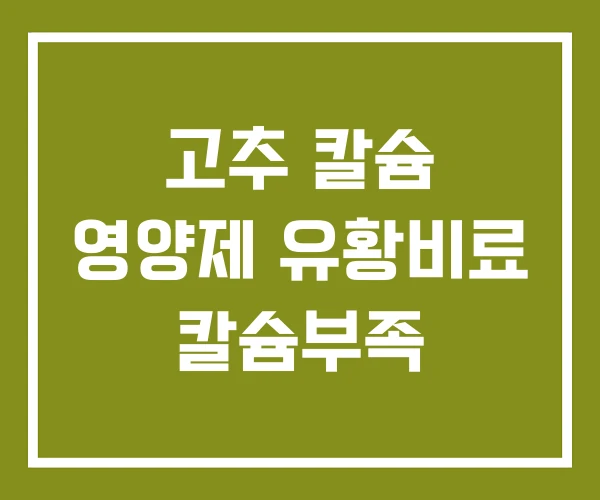 고추 칼슘 영양제 유황비료 칼슘부족