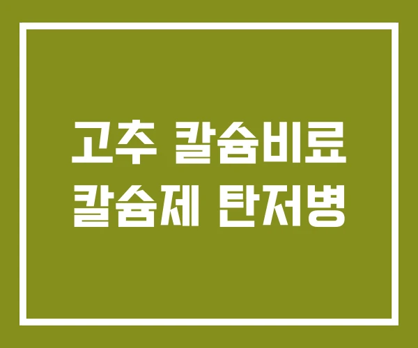 고추 칼슘비료 칼슘제 탄저병 고추 칼슘비료 칼슘제 탄저병