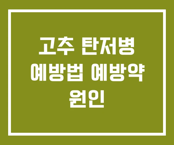 고추 탄저병 예방법 예방약 원인 고추 탄저병 예방법 예방약 원인