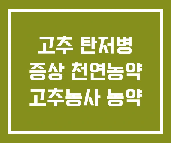 고추 탄저병 증상 천연농약 고추농사 농약 고추 탄저병 증상 천연농약 고추농사 농약