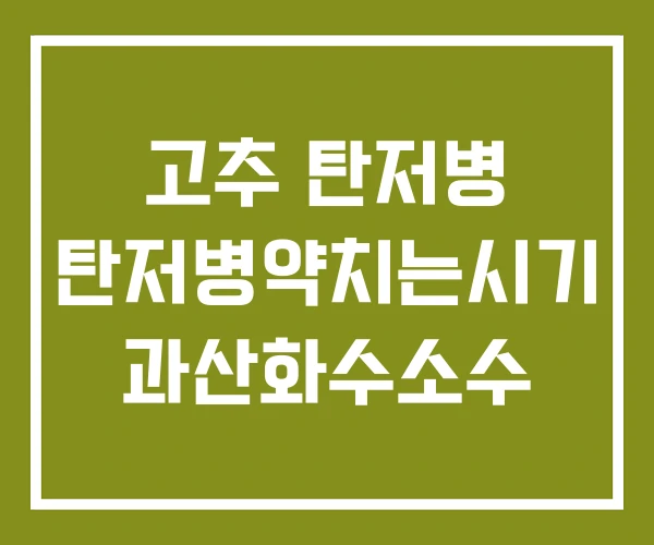고추 탄저병 탄저병약치는시기 과산화수소수