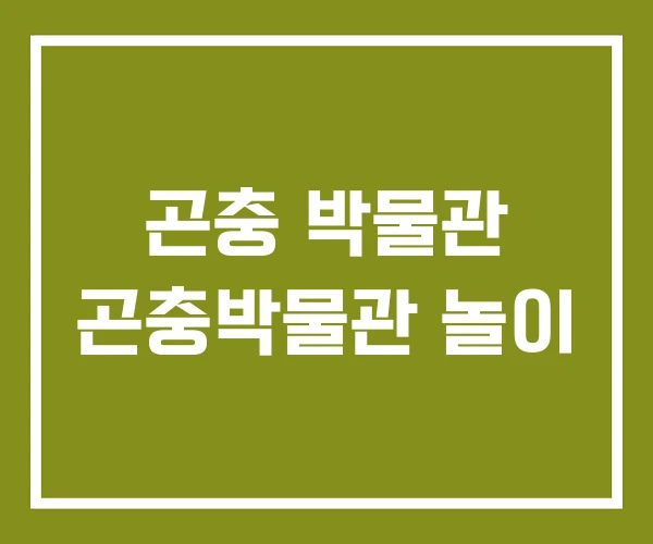 곤충 박물관 곤충박물관 놀이