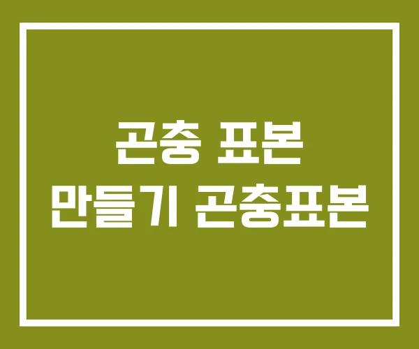 곤충 표본 만들기 곤충표본
