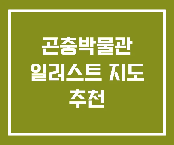 곤충박물관 일러스트 지도 추천