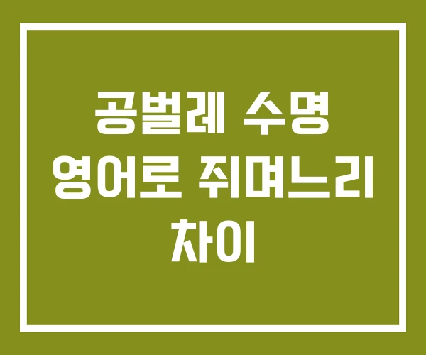 공벌레 수명 영어로 쥐며느리 차이