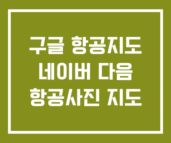 구글 항공지도 네이버 다음 항공사진 지도 구글 항공지도 네이버 다음 항공사진 지도