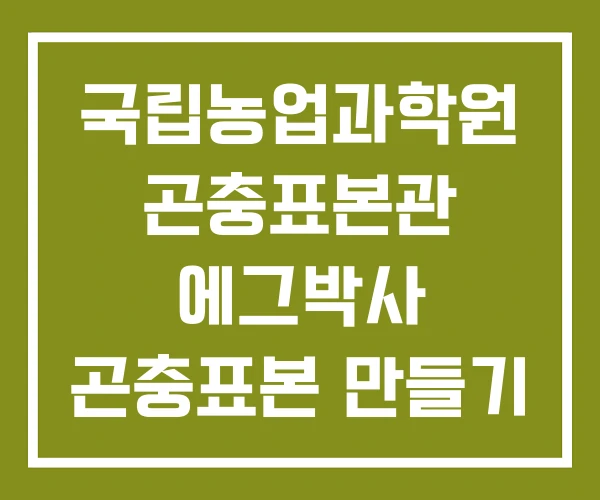 국립농업과학원 곤충표본관 에그박사 곤충표본 만들기