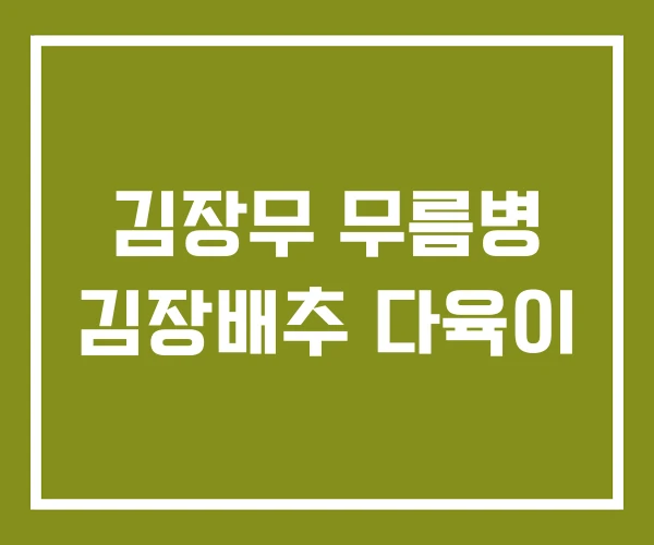 김장무 무름병 김장배추 다육이