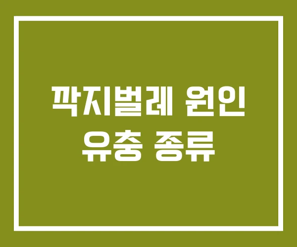 깍지벌레 원인 유충 종류 깍지벌레 원인 유충 종류