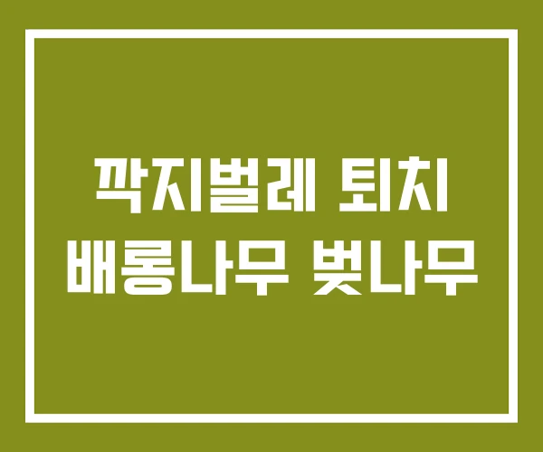 깍지벌레 퇴치 배롱나무 벚나무