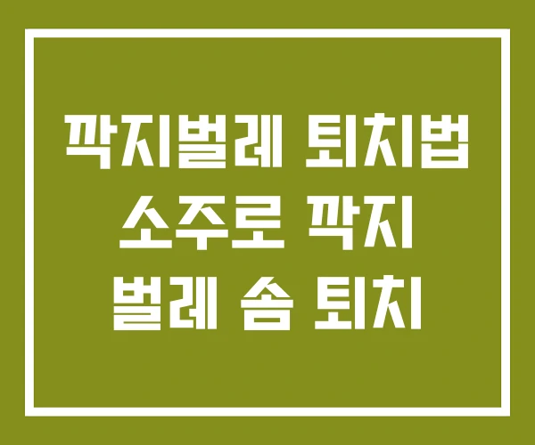 깍지벌레 퇴치법 소주로 깍지 벌레 솜 퇴치