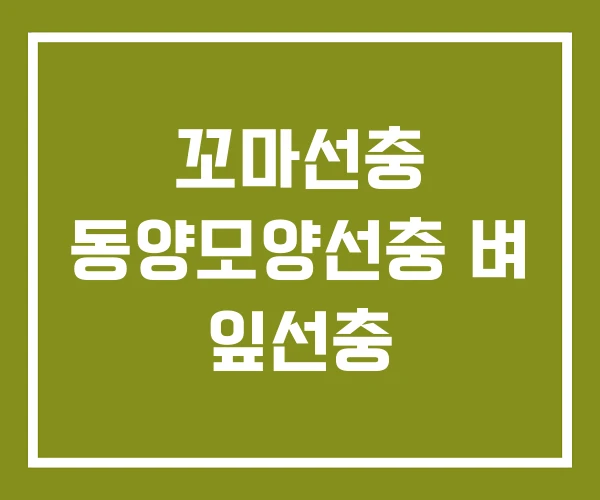 꼬마선충 동양모양선충 벼 잎선충 꼬마선충 동양모양선충 벼 잎선충