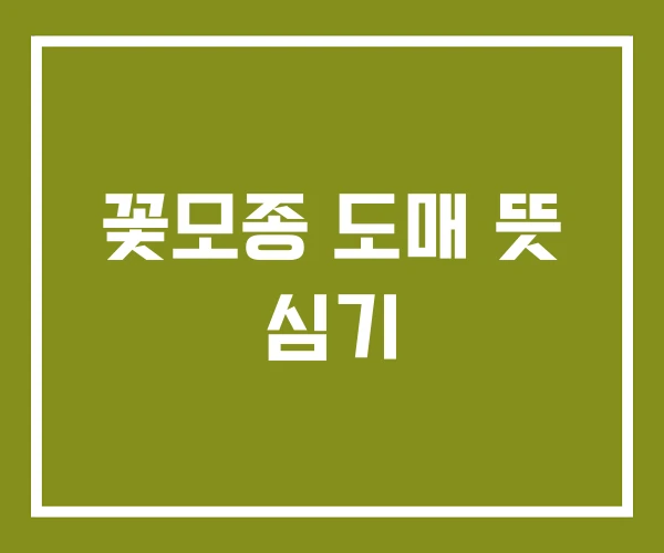 꽃모종 도매 뜻 심기