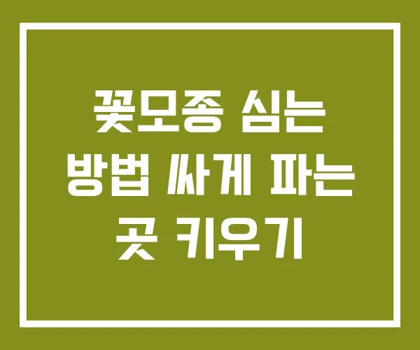 꽃모종 심는 방법 싸게 파는 곳 키우기 꽃모종 심는 방법 싸게 파는 곳 키우기