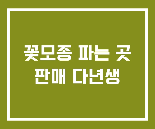 꽃모종 파는 곳 판매 다년생