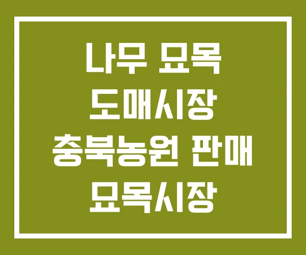 나무 묘목 도매시장 충북농원 판매 묘목시장