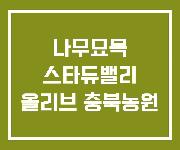 나무묘목 스타듀밸리 올리브 충북농원