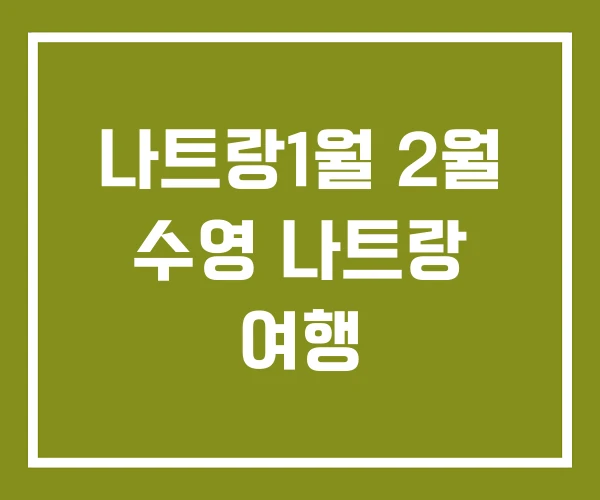 나트랑1월 2월 수영 나트랑 여행
