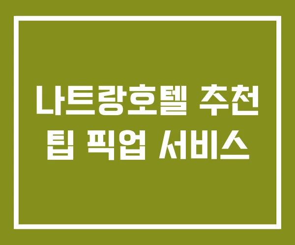 나트랑호텔 추천 팁 픽업 서비스