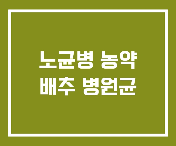 노균병 농약 배추 병원균
