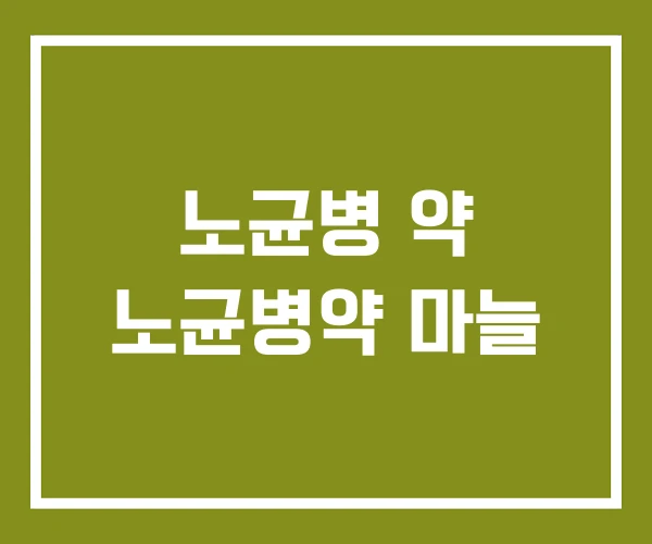 노균병 약 노균병약 마늘 노균병 약 노균병약 마늘
