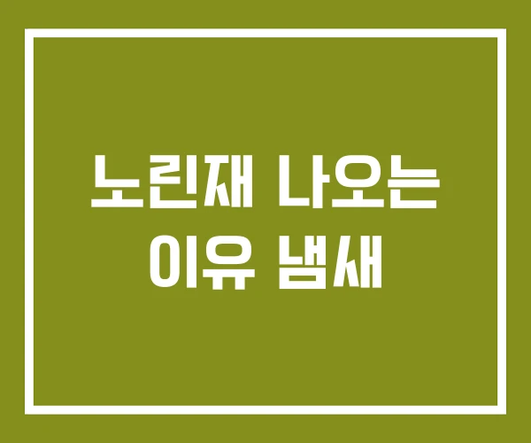 노린재 나오는 이유 냄새 노린재 나오는 이유 냄새