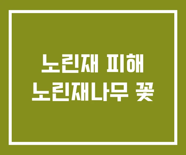 노린재 피해 노린재나무 꽃