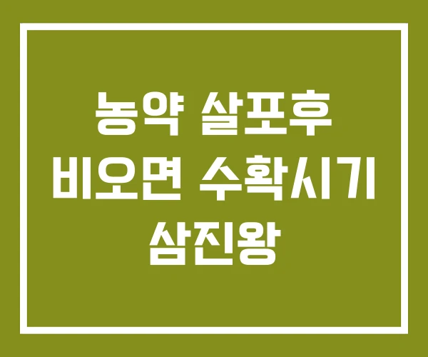 농약 살포후 비오면 수확시기 삼진왕