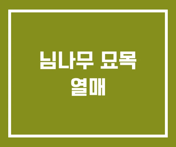 님나무 묘목 열매 님나무 묘목 열매