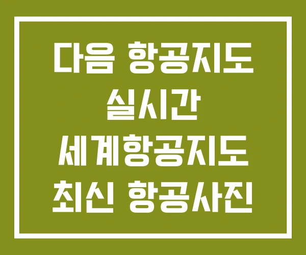 다음 항공지도 실시간 세계항공지도 최신 항공사진 지도보기