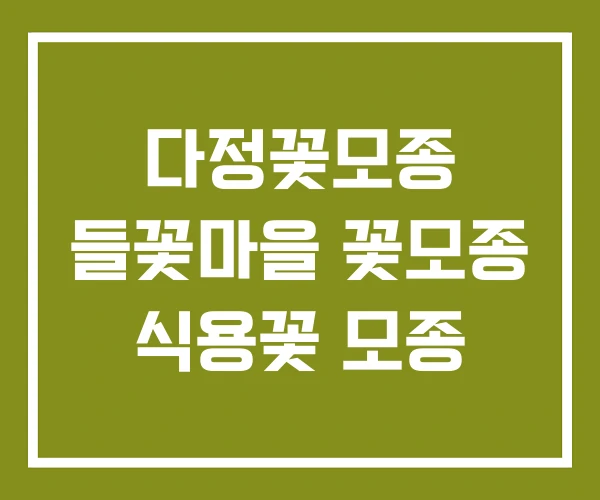 다정꽃모종 들꽃마을 꽃모종 식용꽃 모종 다정꽃모종 들꽃마을 꽃모종 식용꽃 모종