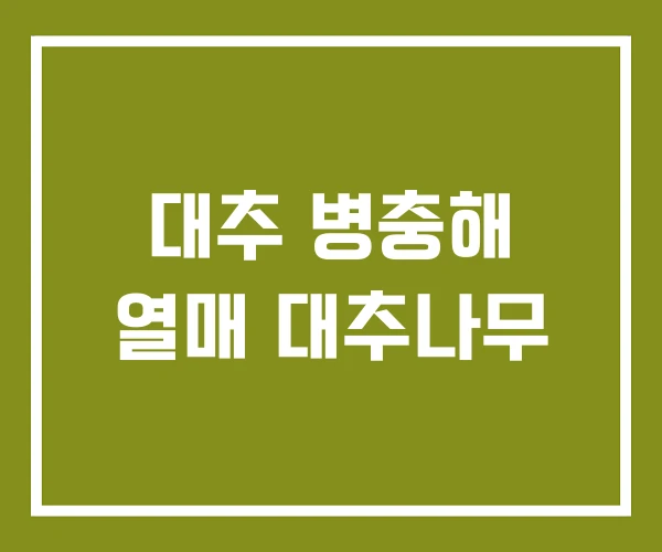 대추 병충해 열매 대추나무 대추 병충해 열매 대추나무