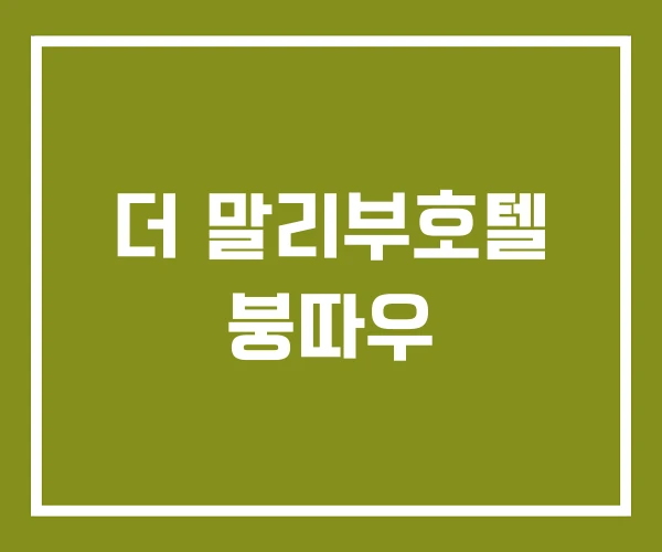 더 말리부호텔 붕따우