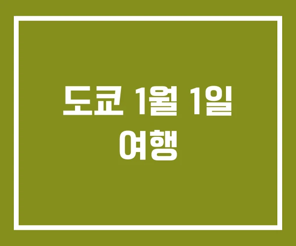 도쿄 1월 1일 여행