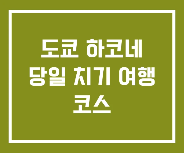 도쿄 하코네 당일 치기 여행 코스 도쿄 하코네 당일 치기 여행 코스